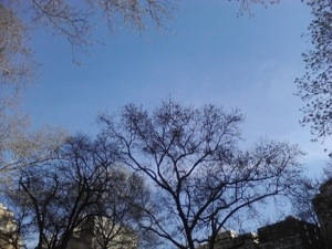 20130415-125914.jpg